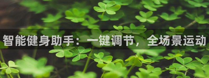 智能健身助手：一键调节，全场景运动