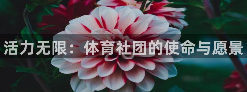 活力无限：体育社团的使命与愿景