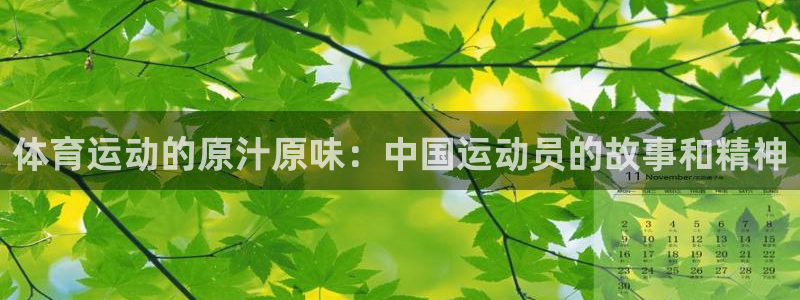 体育运动的原汁原味：中国运动员的故事和精神