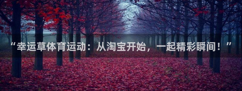“幸运草体育运动：从淘宝开始，一起精彩瞬间！”